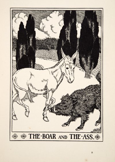 Dzik i osioł, z Stu bajek Ezopa, wyd. 1903 autorstwa Percy J. Billingshurst