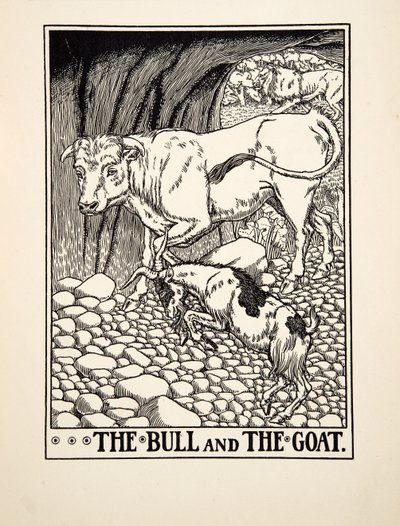 Byk i koza , z Stu bajek Ezopa, wyd. 1903 (rycina) autorstwa Percy J. Billingshurst