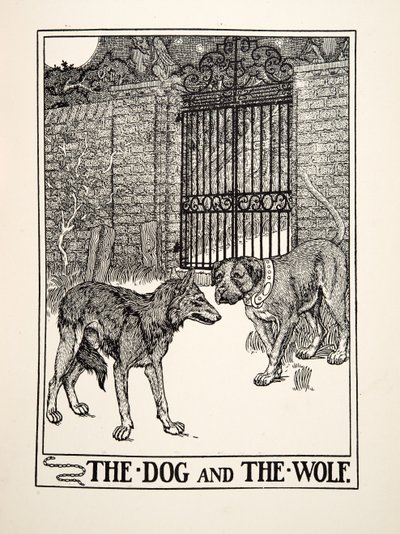 Pies i wilk, z Stu bajek Ezopa, wyd. 1903 (rycina) autorstwa Percy J. Billingshurst