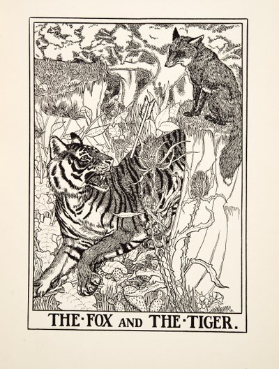 Lis i tygrys , z Stu bajek Ezopa, wyd. 1903 (rycina) autorstwa Percy J. Billingshurst