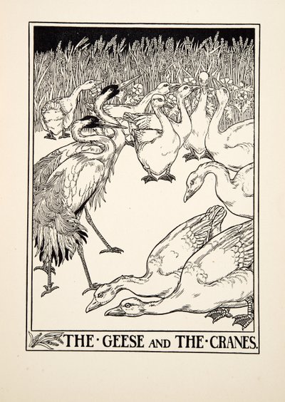 Gęsi i żurawie, z Stu bajek Ezopa, wyd. 1903 autorstwa Percy J. Billingshurst