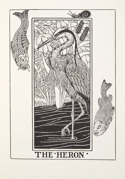 Czapla, z Fontaine Fables, wyd. 1905 (grawerowanie) autorstwa Percy J. Billingshurst
