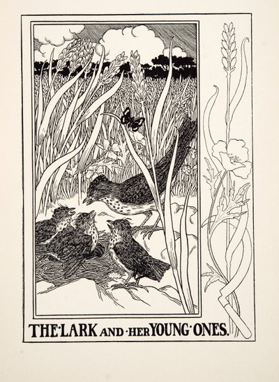 Skowronek i jej młodzieńcy, z Stu bajek Ezopa, wyd. 1903 (rycina) autorstwa Percy J. Billingshurst