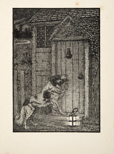 Pies nowofundlandzki, ze Sto anegdot zwierząt, wyd. 1924 autorstwa Percy J. Billingshurst