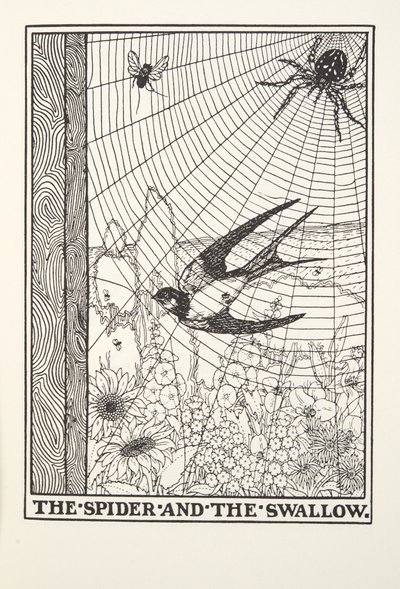Pająk i jaskółka, z Fontaine Fables, wyd. 1905 autorstwa Percy J. Billingshurst