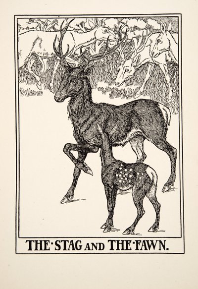 Jeleń i jelonek, z Stu bajek Ezopa, wyd. 1903 autorstwa Percy J. Billingshurst