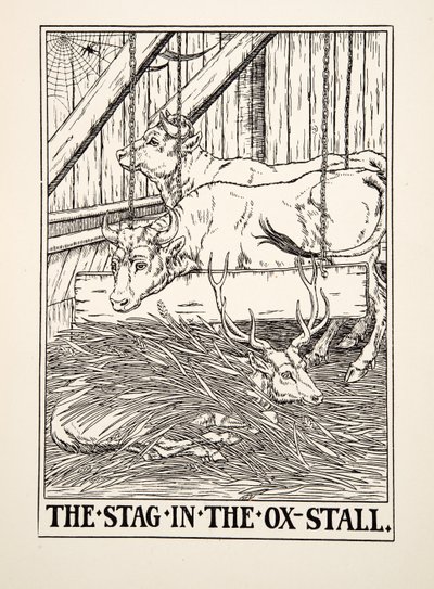 Jeleń w straganie z wołami, ze stu bajek Ezopa, wyd. 1903 (rycina) autorstwa Percy J. Billingshurst