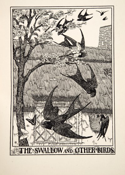 Jaskółka i inne ptaki, ze stu bajek Ezopa, wyd. 1903 autorstwa Percy J. Billingshurst