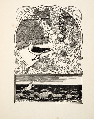 Oswojona mewa, z „Stu anegdot zwierząt”, wyd. 1924 (grawerowanie) autorstwa Percy J. Billingshurst