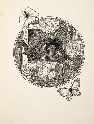 „Wrens Learning to Sing”, z „Stu anegdot zwierząt”, wyd. 1924 autorstwa Percy J. Billingshurst