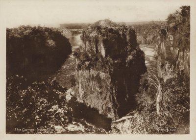 Wąwóz z hotelu, Wodospady Wiktorii (zdjęcie czarno-białe) autorstwa Percy M. Clark