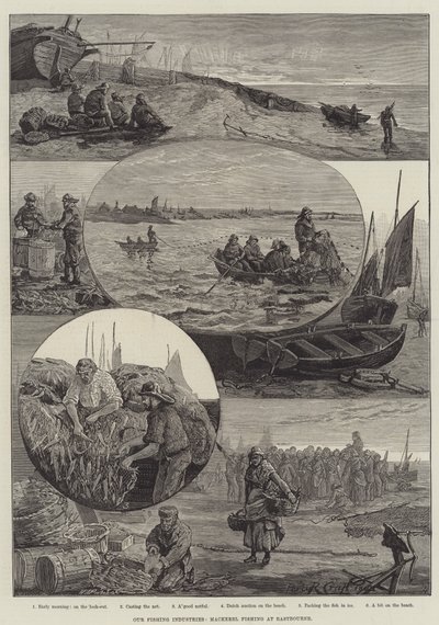 Nasze branże rybackie, wędkarstwo makreli w Eastbourne (grawerowanie) autorstwa Percy Robert Craft