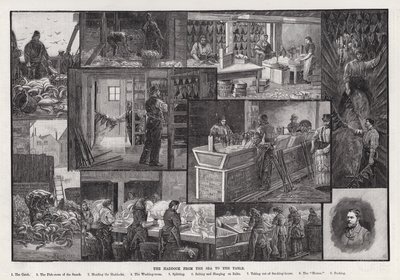 Plamiak od morza do stołu (rycina) autorstwa Percy Robert Craft