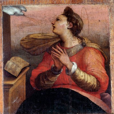 Dziewica Zwiastowania, detal (olej na desce, ok. 1535) autorstwa Perino del Vaga