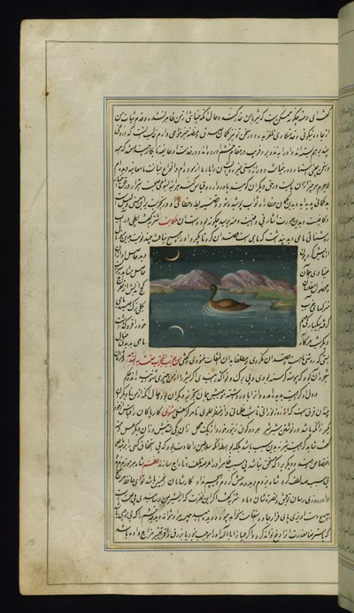 Gęś i odbicie księżyca w wodzie ze Świateł Canopus autorstwa Persian School