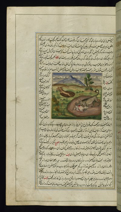 Szakal pożera zająca ze Świateł Canopus, 1847 autorstwa Persian School