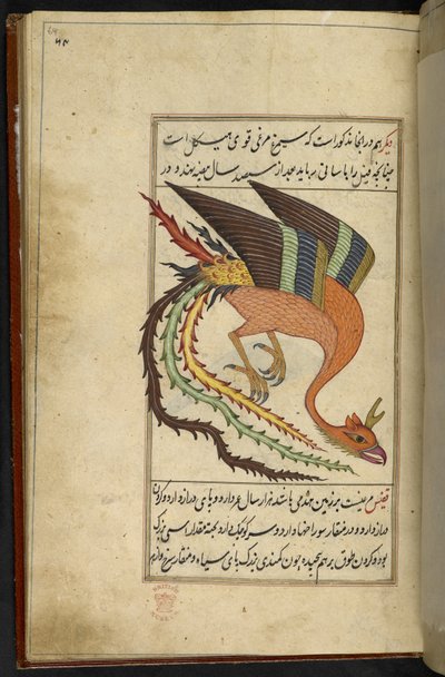 Dodaj MS 15241 f.64r The simurgh, irański ptak gromowładny, z kolekcji rarytasów „Majma” Al-ghara’ib”. Sułtan Muhammad Balkhi autorstwa Persian School