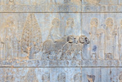 Płaskorzeźby na ścianach pałacu i klatki schodowej Apadana, Persepolis, Iran (piaskowiec) autorstwa Persian School