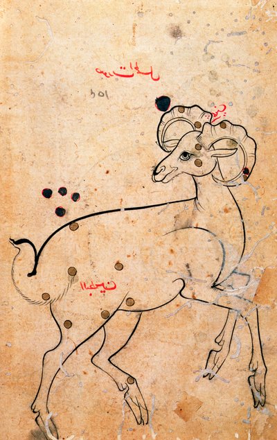 f.154a Baran, Baran, perski, z Isfahanu lub Sziraz, ok. 1600 (atrament na papierze) autorstwa Persian School