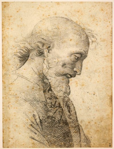 Popiersie mężczyzny, 1500-1503. autorstwa Perugino