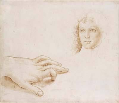 Studia Głowy i Ręki, koniec XV-początek XVI wieku autorstwa Perugino