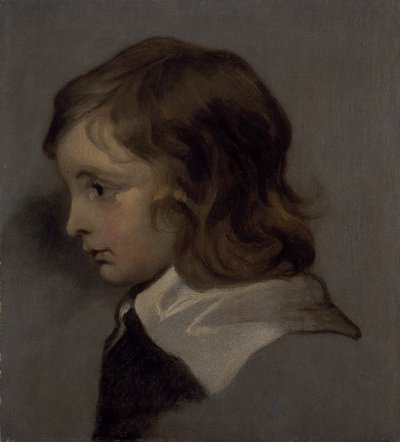 Głowa młodego chłopca (olej na płótnie) autorstwa Peter (follower of) Lely