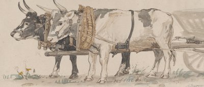 Dwa woły ciągnące wóz, 1874. autorstwa Peter Christian Thamsen Skovgaard