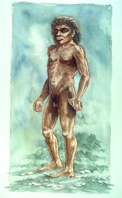Człowiek z Boxgrove, prehistoryczny, 1990-2010 autorstwa Peter Dunn