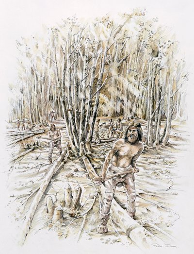 Zastosowania krzemienia-zagajnika, Prehistoryczne, c1990-2010 autorstwa Peter Dunn