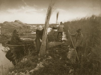 Podczas żniw trzcinowych, życia i krajobrazu na Norfolk Broads, c.1886 autorstwa Peter Emerson und Thomas Goodall