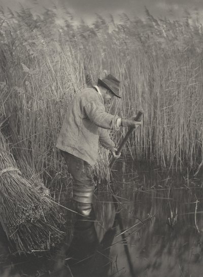 Przecinak trzciny w pracy, 1886. Twórcy: dr Peter Henry Emerson, Thomas Frederick Goodall. autorstwa Peter Henry Emerson, Thomas Frederick Goodall