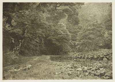 Cichy zakątek w Beresford Dale autorstwa Peter Henry Emerson