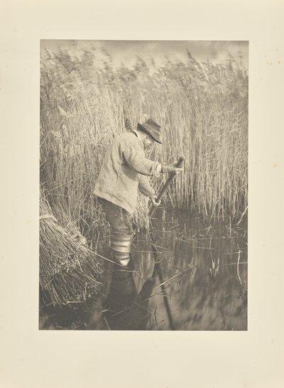  autorstwa Peter Henry Emerson