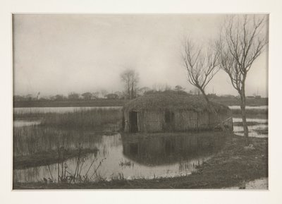 Szklarnia trzcinowa, tablica XXXI z życia i krajobrazu na deskach Norfolk autorstwa Peter Henry Emerson