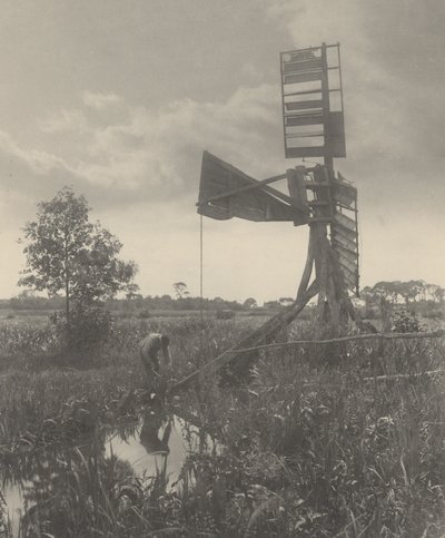 Zrujnowany młyn wodny autorstwa Peter Henry Emerson
