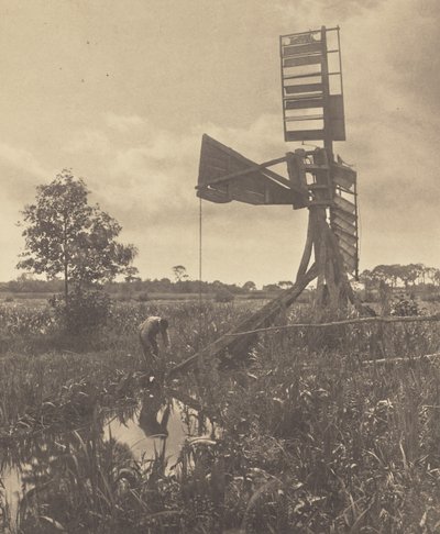  autorstwa Peter Henry Emerson