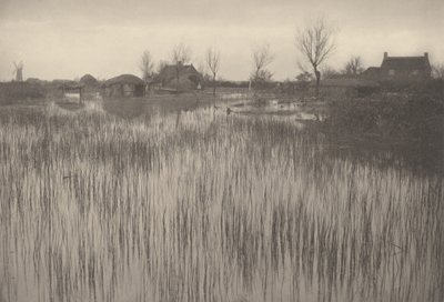A Rushy Shore, 1886 (zdjęcie) autorstwa Peter Henry Emerson
