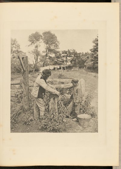 W Grindstone - gospodarstwo rolne w Suffolk autorstwa Peter Henry Emerson