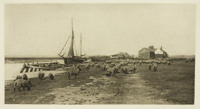 Czarny Brzeg, Rzeka Blythe (Suffolk) autorstwa Peter Henry Emerson