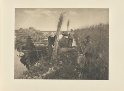 Podczas zbiorów trzciny autorstwa Peter Henry Emerson