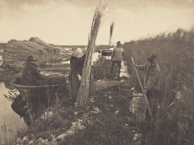  autorstwa Peter Henry Emerson