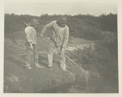 Zbieranie węgorzy w wodach Suffolk autorstwa Peter Henry Emerson