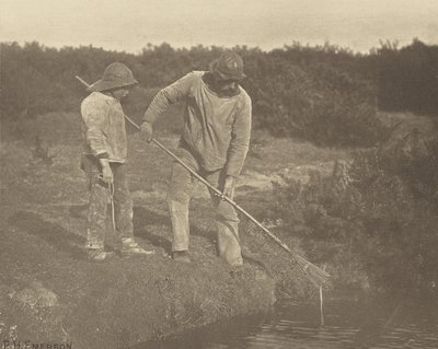 WęgorzPicking w wodach Suffolk autorstwa Peter Henry Emerson