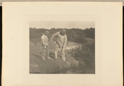 WęgorzPicking w wodach Suffolk autorstwa Peter Henry Emerson