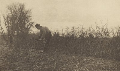 Ogrodzenia w Suffolk autorstwa Peter Henry Emerson
