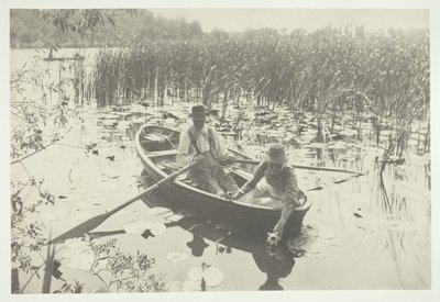 Zbieranie Lilii Wodnych autorstwa Peter Henry Emerson