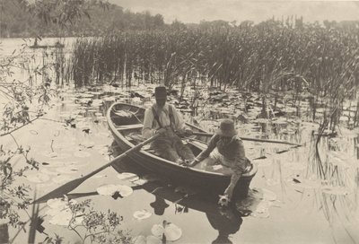 Zbieranie lilii wodnych autorstwa Peter Henry Emerson