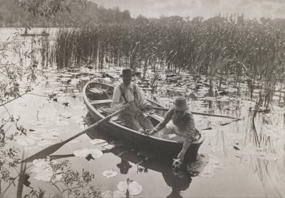 Zbieranie lilii wodnych autorstwa Peter Henry Emerson