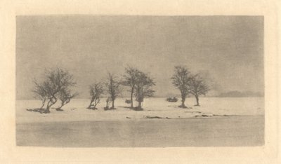 Sękate Ciernie autorstwa Peter Henry Emerson