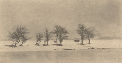 Sękate Ciernie Drzewa 1890, druk ok. 1895. autorstwa Peter Henry Emerson